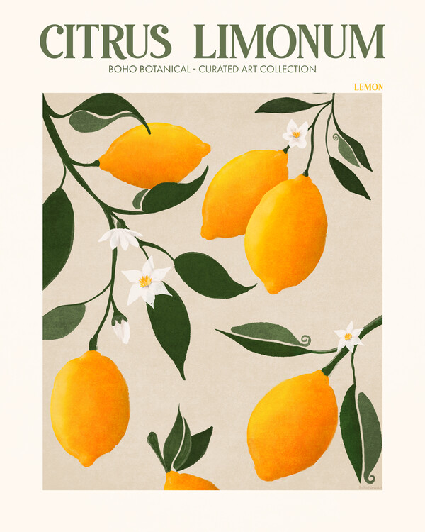 Levně Plakát, Obraz - Golden Citrus Delight, Emel Tunaboylu, 30 × 40 cm