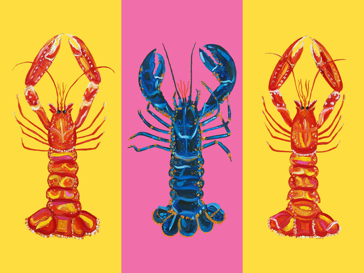 Plakát Lobster Langoustines Pop Art 2