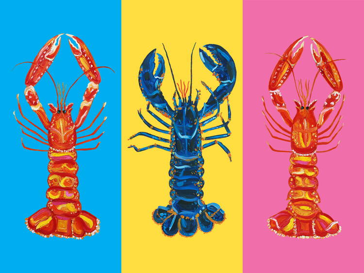 Levně Plakát, Obraz - Lobster Langoustines Pop Art, Alice Straker, 40 × 30 cm