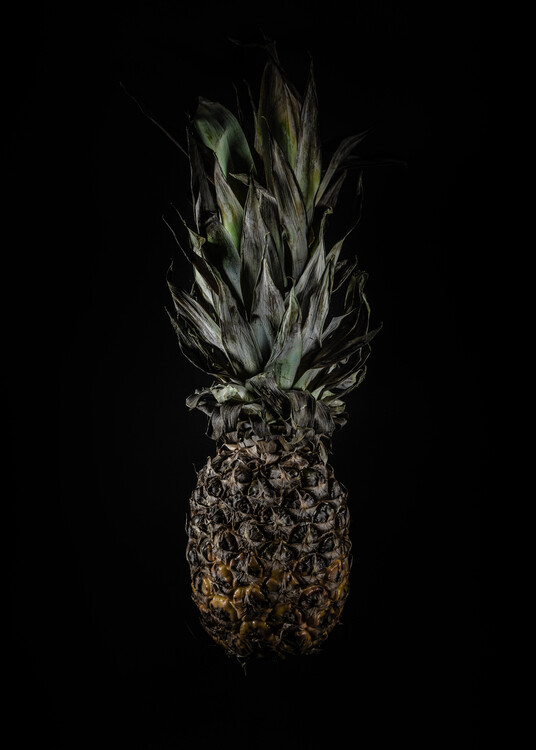 Плакат Fruits and Veggies No 8 Color Version