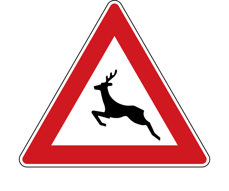 T-shirt Animals crossing