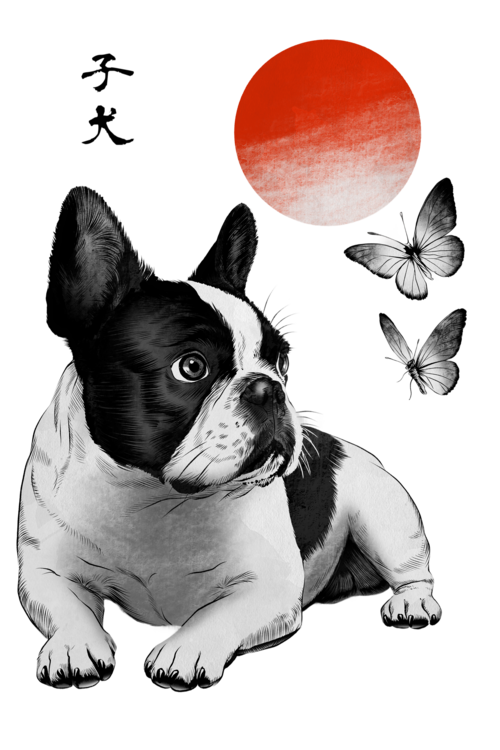 T-shirt Frenchie under the sun