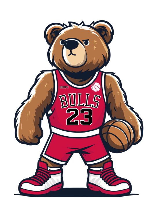 Maglietta Bulls 23