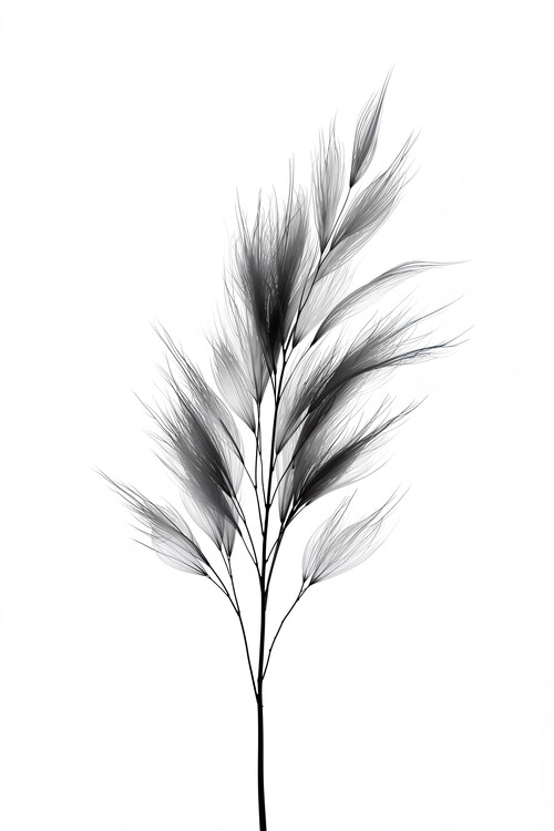 Juliste Wild Grass Motion