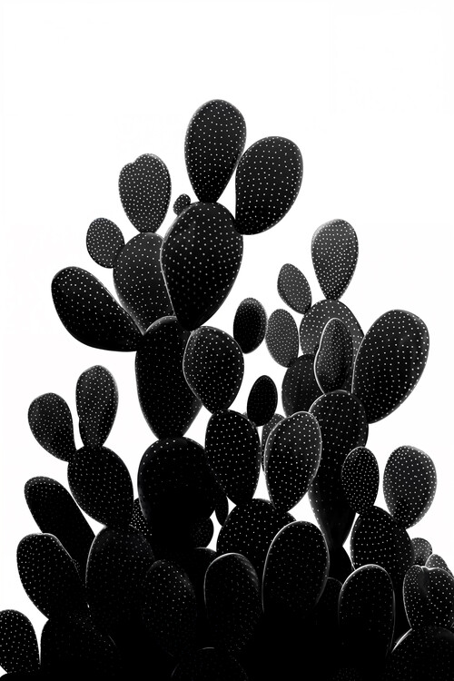 Juliste Prickly Pear Silhouette