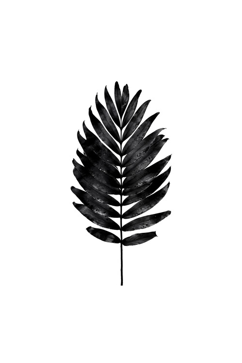 Obraz na płótnie Tropical Leaf Minimal