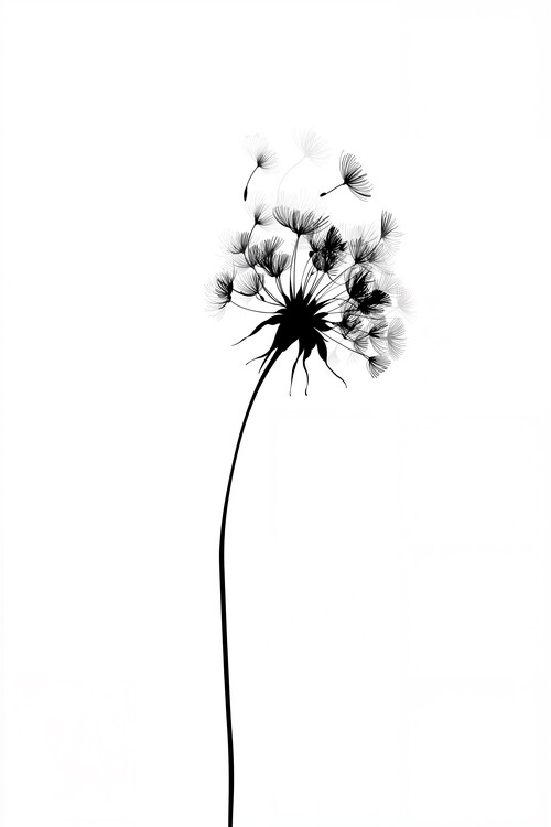 Juliste Dandelion Whisper