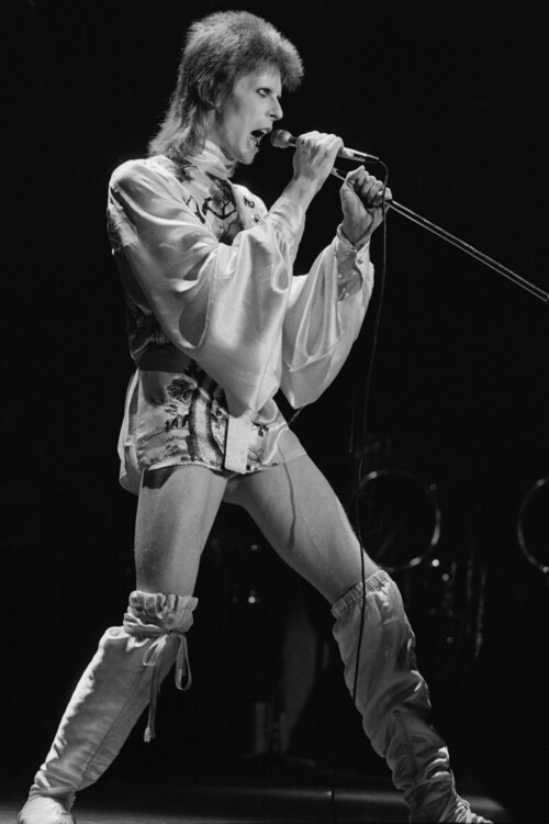 Poster Ziggy's Last Gig