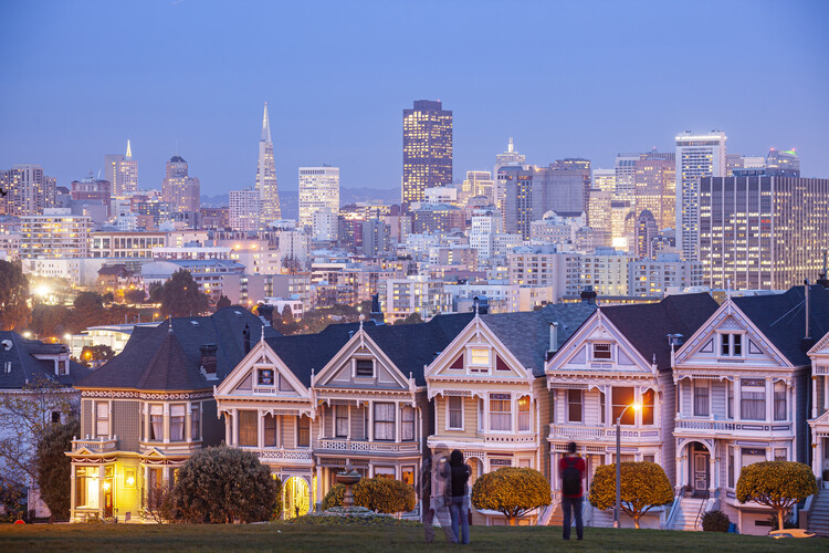 Плакат Die Painted Ladies in San Francisco