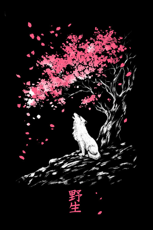 Poster Wolf under the tree