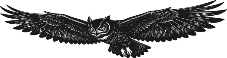 Футболка The Flying Owl