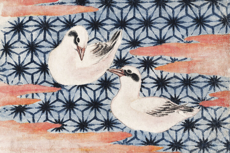 Póster Birds