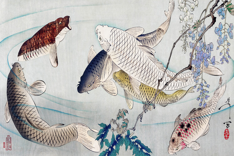 Levně Plakát, Obraz - Six Carp Swimming Beneath Wisteria (1889), Tsukioka Yoshitoshi, 40 × 26.7 cm