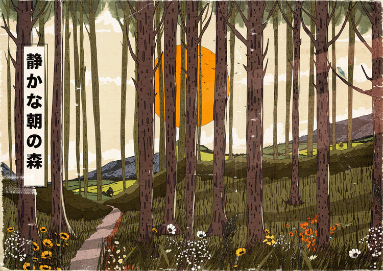 Levně Plakát, Obraz - Quiet Forest Morning, Nicholas, 40 × 30 cm