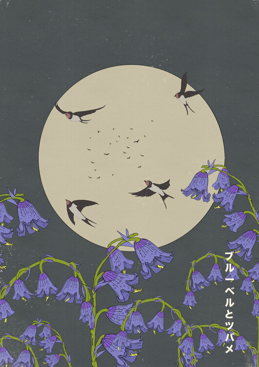 Levně Plakát, Obraz - Moonlit Bluebell Swallows, Nicholas, 30 × 40 cm