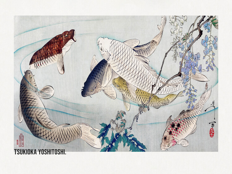 Levně Plakát, Obraz - Six Carp Swimming Beneath Wisteria (1889), Tsukioka Yoshitoshi, 40 × 30 cm
