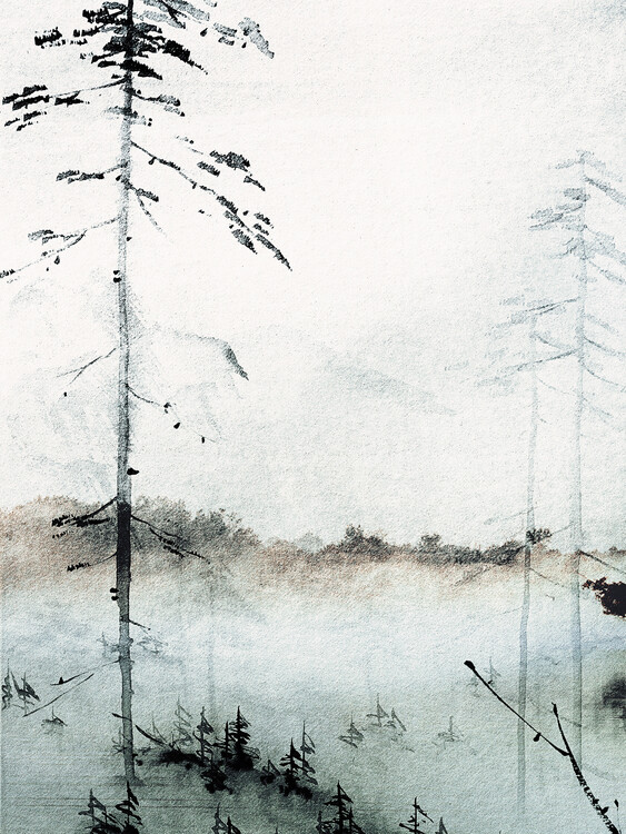 Obraz na plátně Misty Forest Calm