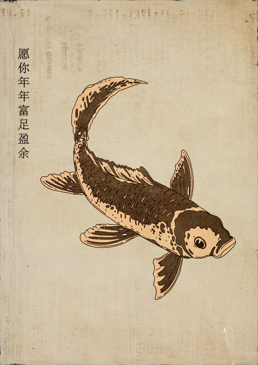 Levně Plakát, Obraz - Japanese Koi Fish, Nicholas, 30 × 40 cm