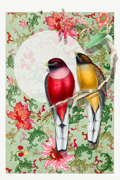 Poster Vibrant Birds Floral Pattern