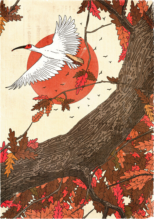 Levně Plakát, Obraz - Crimson Sun Autumn Flight, Nicholas, 30 × 40 cm