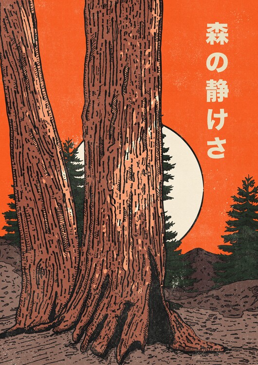 Levně Plakát, Obraz - Quiet Forest Glow, Nicholas, 30 × 40 cm