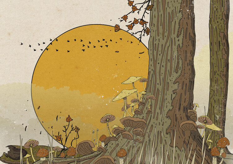 Levně Plakát, Obraz - Golden Sun Forest Mushrooms, Nicholas, 40 × 30 cm