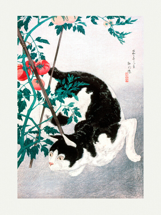 Poster Cat With Tomato Plant (1931)