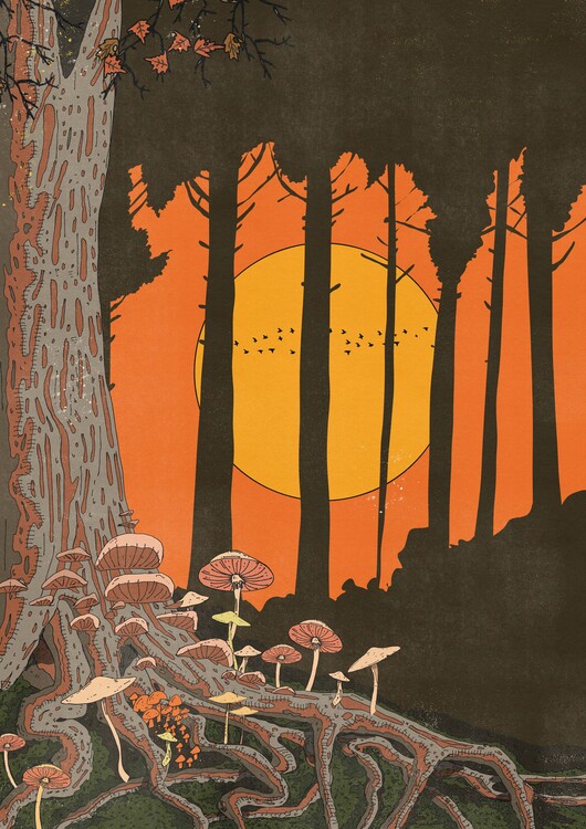 Levně Plakát, Obraz - Twilight Mushroom Forest, Nicholas, 30 × 40 cm