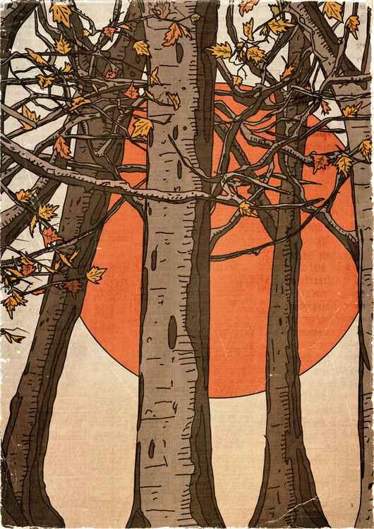 Levně Plakát, Obraz - Autumn Trees Sunset, Nicholas, 30 × 40 cm