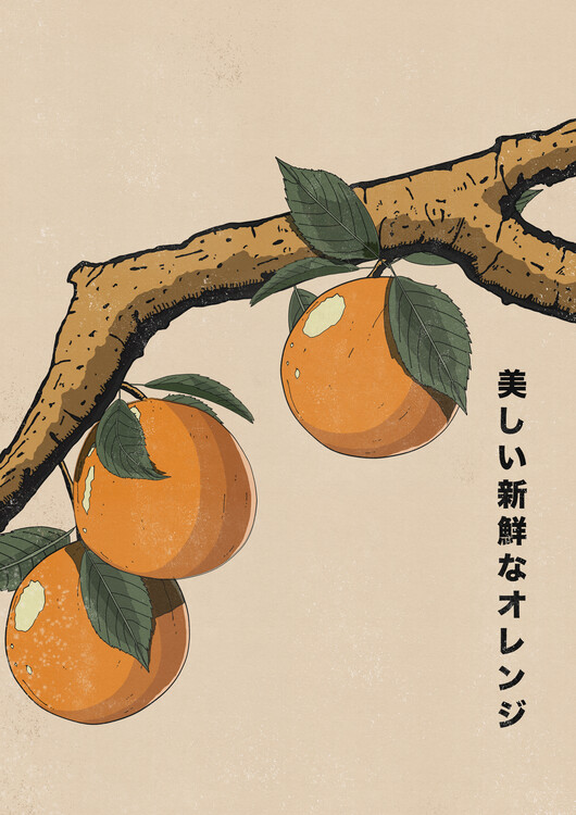 Levně Plakát, Obraz - Beautiful Fresh Oranges, Nicholas, 30 × 40 cm