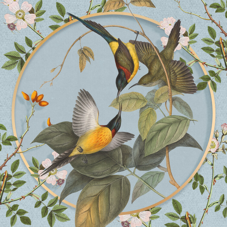 Obraz na plátně Vintage Botanical Sunbirds