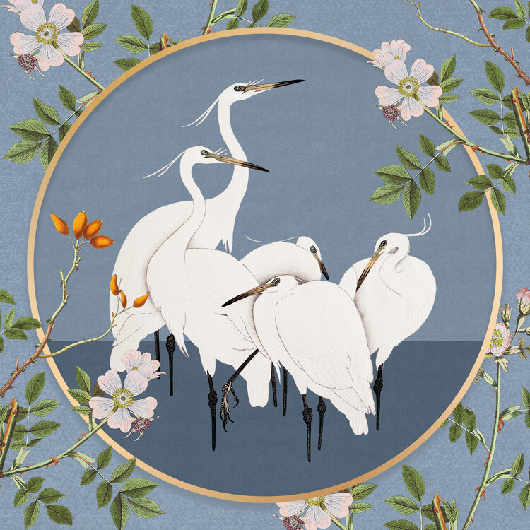 Poster White Egrets Floral Circle
