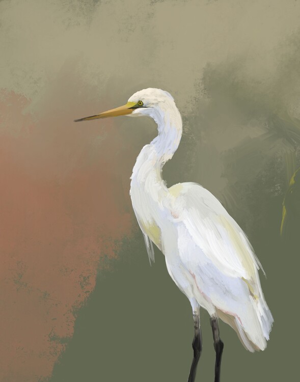 Levně Plakát, Obraz - Elegant Egret Portrait, Josie George, 30 × 40 cm