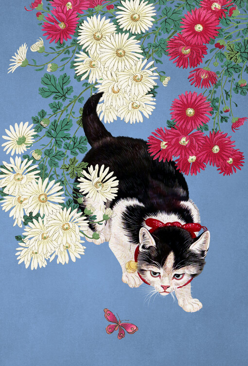Levně Plakát, Obraz - Curious Kitten Butterfly, Marja van den Hurk, 26.7 × 40 cm