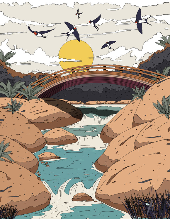 Levně Plakát, Obraz - Sunrise River Swallows, Nicholas, 30 × 40 cm