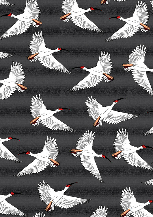 Levně Plakát, Obraz - Graceful White Birds Flying, Nicholas, 30 × 40 cm