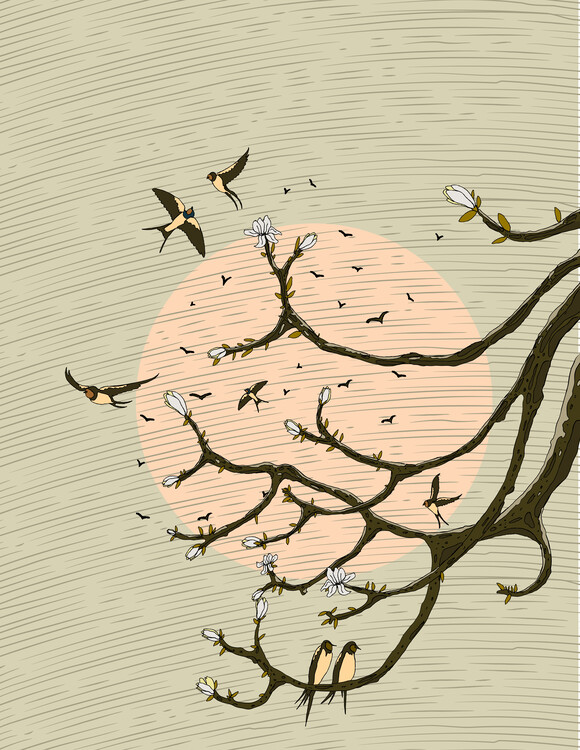 Levně Plakát, Obraz - Oriental Swallows Bloom, Nicholas, 30 × 40 cm