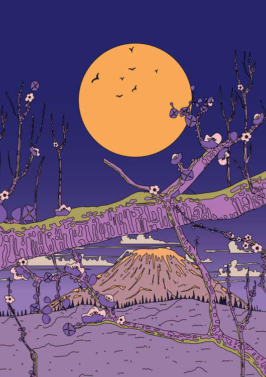 Levně Plakát, Obraz - Full Moon Over Fuji Blossoms, Nicholas, 30 × 40 cm