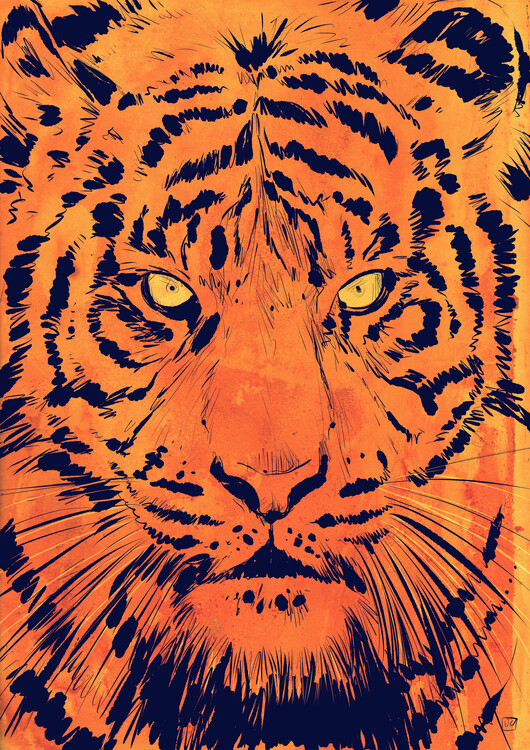 Obraz na plátně Intense Tiger Gaze