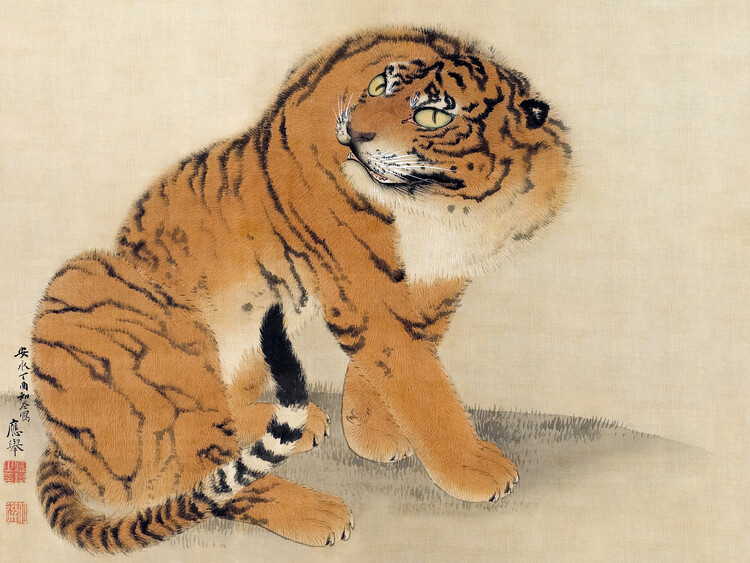 Póster Sitting Tiger (1777)