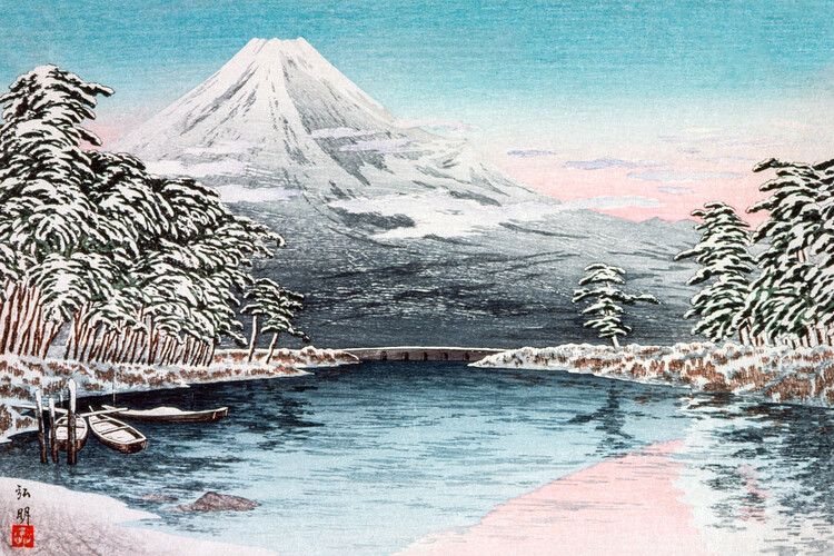 Obraz na plátně Mt. Fuji From Tagonoura