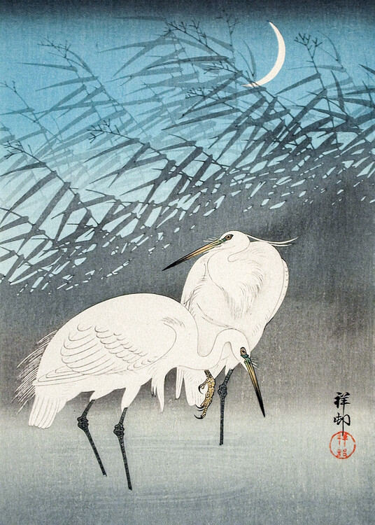 Levně Plakát, Obraz - Egrets and Reeds In Moonlight (1926), Ohara Koson, 30 × 40 cm