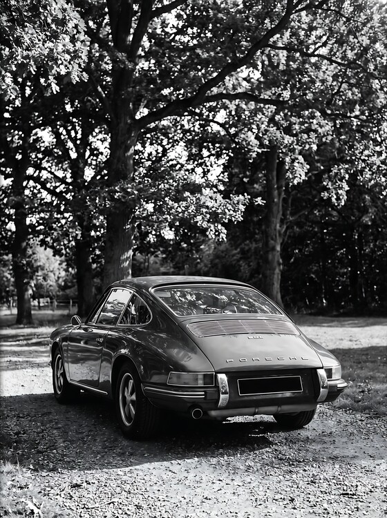 Poster Porsche 911 in Nature - Classic Car Among Trees