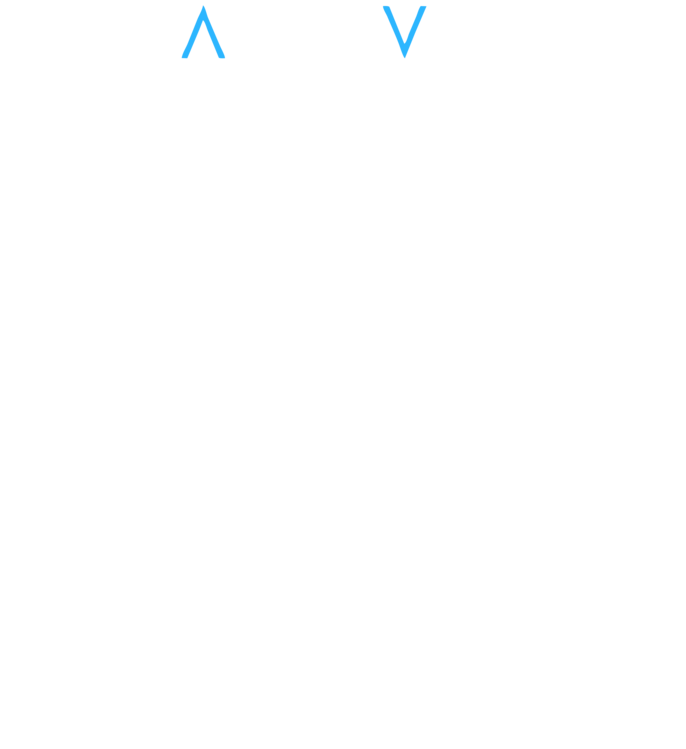 T-Shirt Pragmata