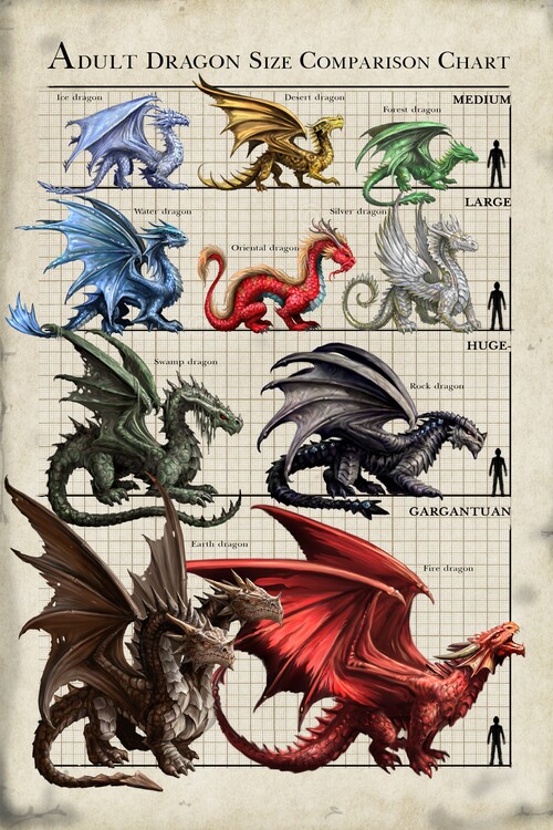 Bild auf Leinwand Dragon Size Chart