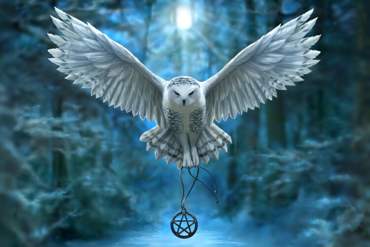 Poster Awaken Your Magic