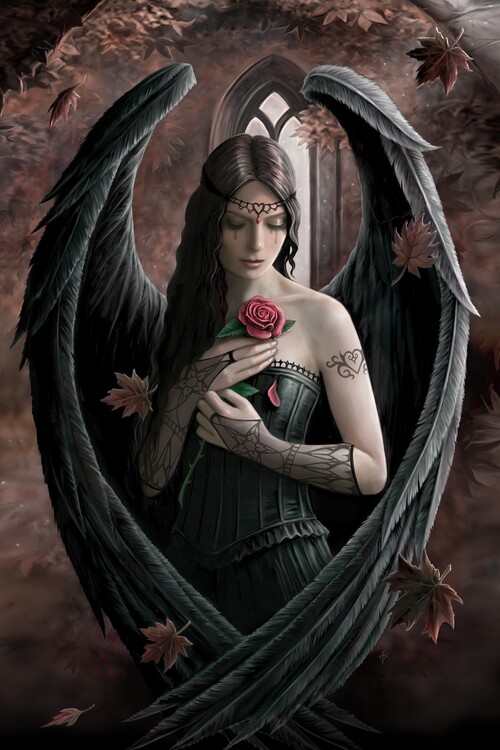 Poster Angel Rose