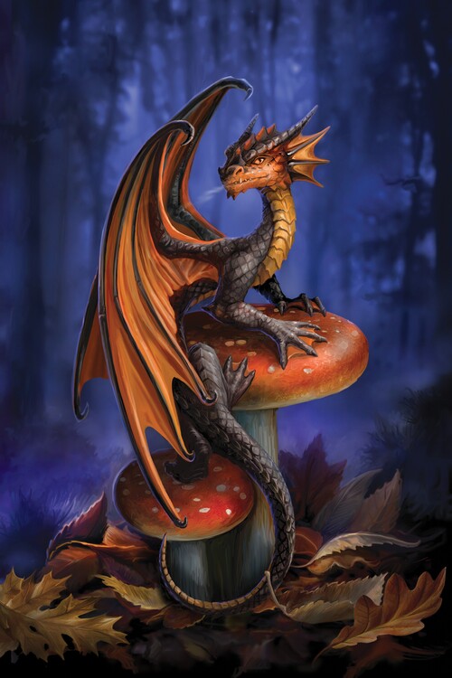 Poster Mushroom Dragon