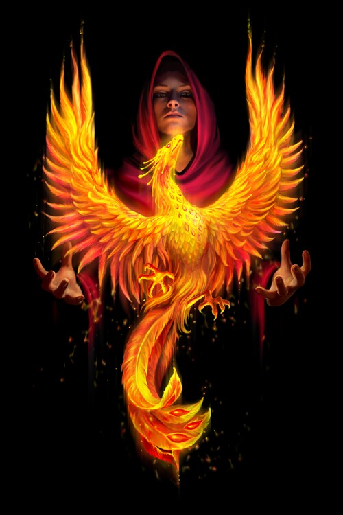 Poster Phoenix Rising