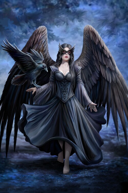 Poster Raven